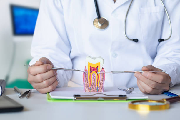 Best Emergency Root Canal Treatment in Bradford Woods, PA